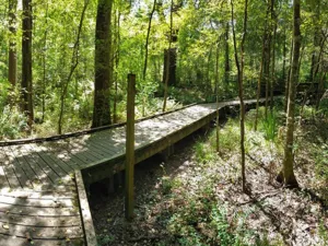acadiana park tn