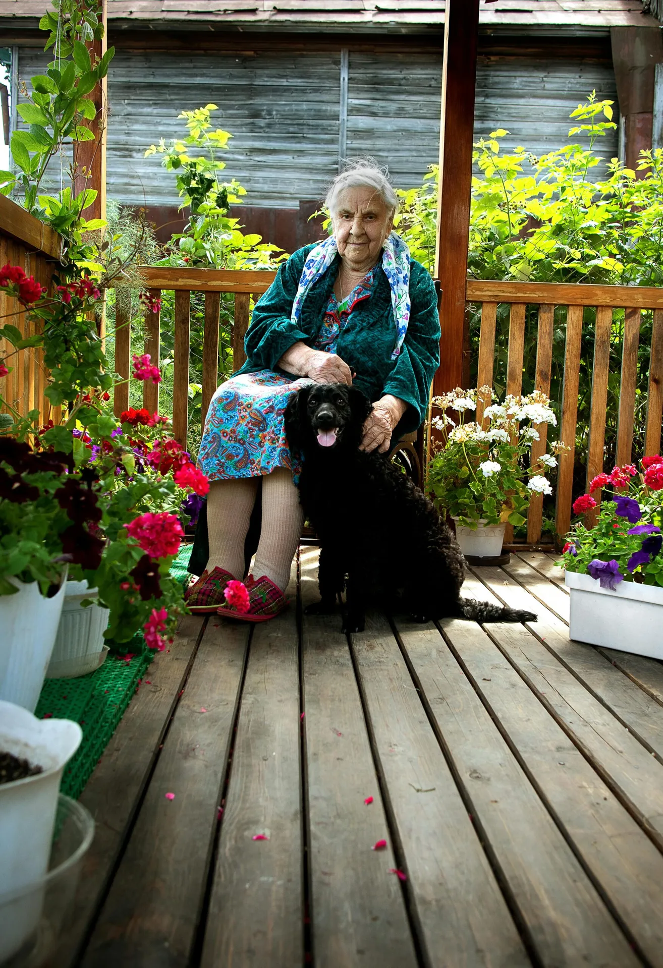 Senior woman sitting with her dog on a colorful garden porch, surrounded by flowers.